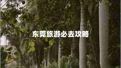 東莞旅游必去攻略