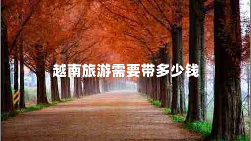 越南旅游需要帶多少錢