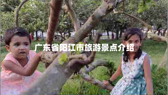 廣東省陽江市旅游景點介紹
