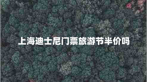 上海迪士尼門(mén)票旅游節(jié)半價(jià)嗎