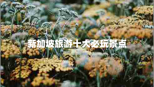 新加坡旅游十大必玩景點(diǎn) 新加坡旅游十大必玩景點(diǎn)