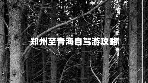 鄭州至青海自駕游攻略