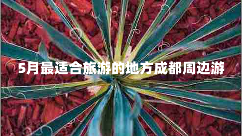 5月最適合旅游的地方成都周邊游