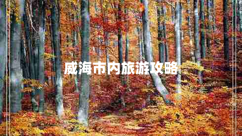 威海市內(nèi)旅游攻略