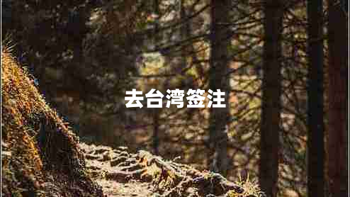 去臺灣簽注