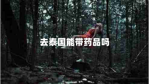 去泰國(guó)能帶藥品嗎