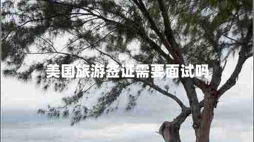美國旅游簽證需要面試嗎 美國旅游簽證需要面試嗎