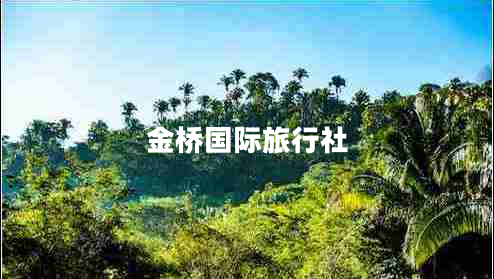 金橋國(guó)際旅行社