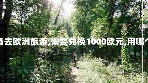 你準備去歐洲旅游,需要兌換1000歐元,用哪個價格