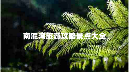 南泥灣旅游攻略景點(diǎn)大全 南泥灣旅游攻略景點(diǎn)大全