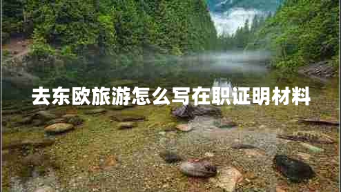 去東歐旅游怎么寫在職證明材料