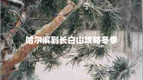 哈爾濱到長(zhǎng)白山攻略冬季