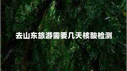 去山東旅游需要幾天核酸檢測