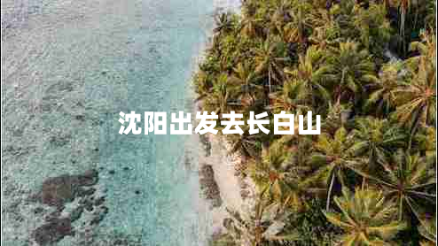 沈陽(yáng)出發(fā)去長(zhǎng)白山