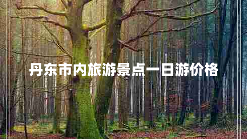 丹東市內(nèi)旅游景點(diǎn)一日游價(jià)格 丹東市內(nèi)旅游景點(diǎn)一日游價(jià)格