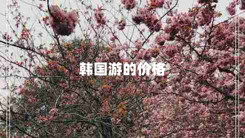 韓國(guó)游的價(jià)格 韓國(guó)游的價(jià)格