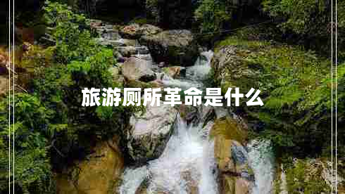 旅游廁所革命是什么