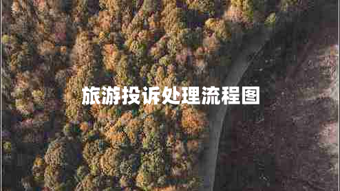 旅游投訴處理流程圖