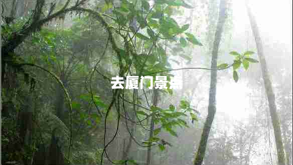 去廈門景點(diǎn)