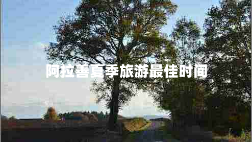 阿拉善夏季旅游最佳時間