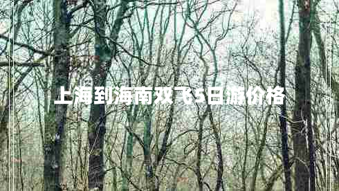 上海到海南雙飛5日游價格 上海到海南雙飛5日游價格