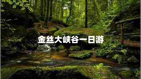 金絲大峽谷一日游