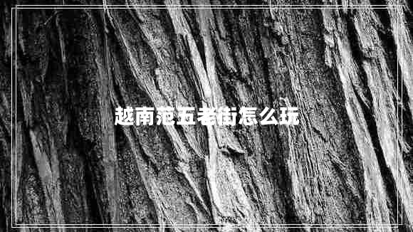 越南范五老街怎么玩