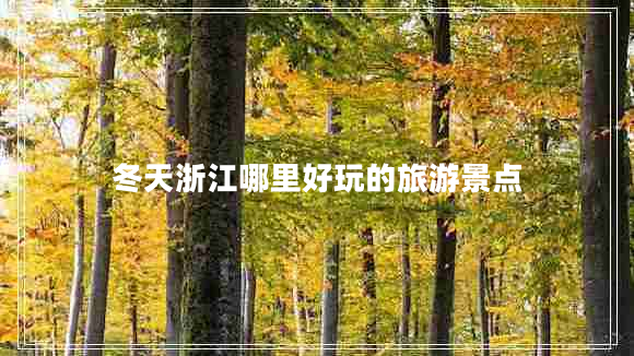 冬天浙江哪里好玩的旅游景點