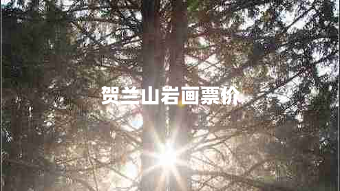 賀蘭山巖畫票價