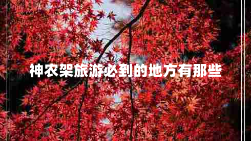 神農(nóng)架旅游必到的地方有那些