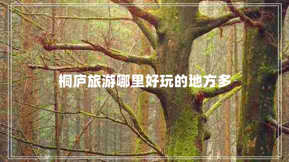 桐廬旅游哪里好玩的地方多