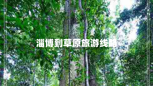 淄博到草原旅游線路