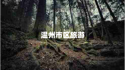 溫州市區(qū)旅游