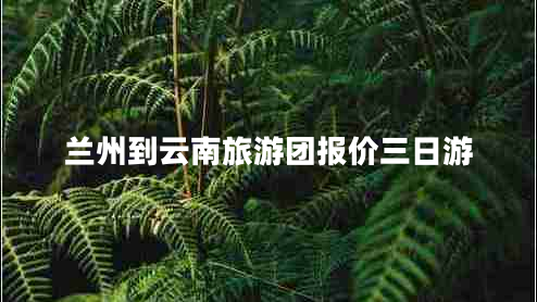 蘭州到云南旅游團(tuán)報價三日游