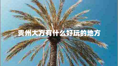 貴州大方有什么好玩的地方 貴州大方有什么好玩的地方