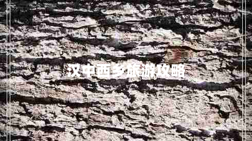 漢中西鄉(xiāng)旅游攻略