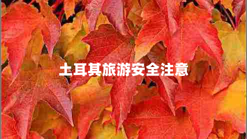 土耳其旅游安全注意