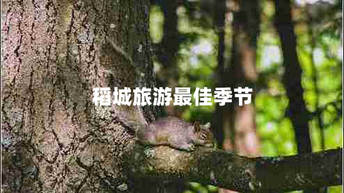 稻城旅游最佳季節(jié)