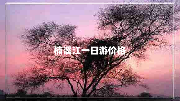 楠溪江一日游價格