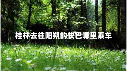 桂林去往陽(yáng)朔的快巴哪里乘車