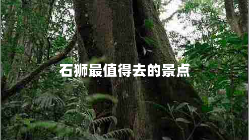 石獅最值得去的景點