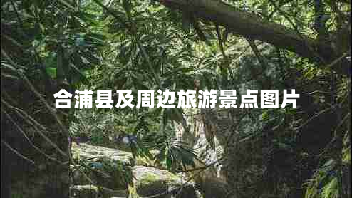 合浦縣及周邊旅游景點(diǎn)圖片