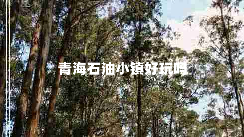 青海石油小鎮(zhèn)好玩嗎