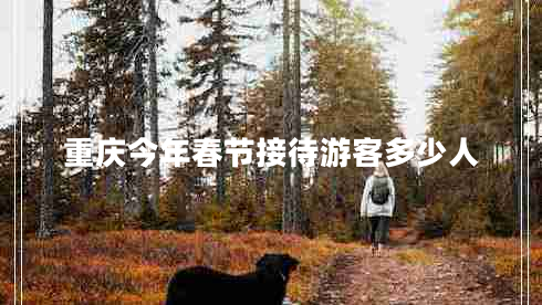 重慶今年春節(jié)接待游客多少人