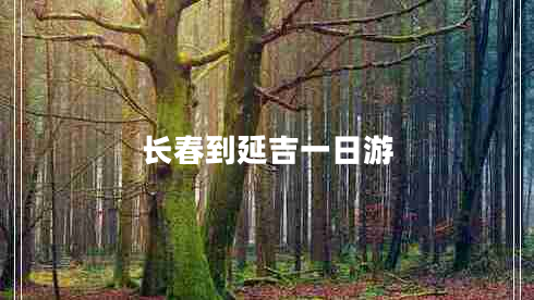 長(zhǎng)春到延吉一日游