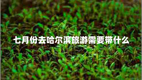 七月份去哈爾濱旅游需要帶什么