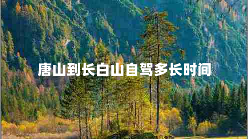 唐山到長(zhǎng)白山自駕多長(zhǎng)時(shí)間