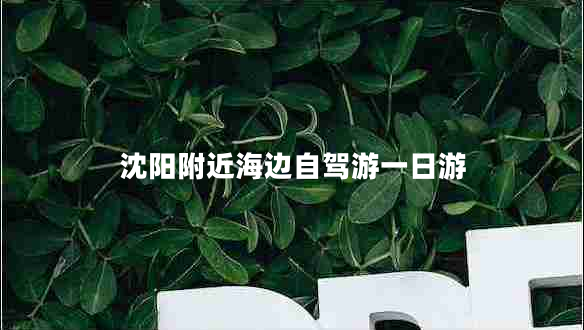 沈陽附近海邊自駕游一日游