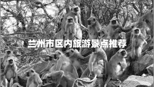 蘭州市區(qū)內(nèi)旅游景點推薦