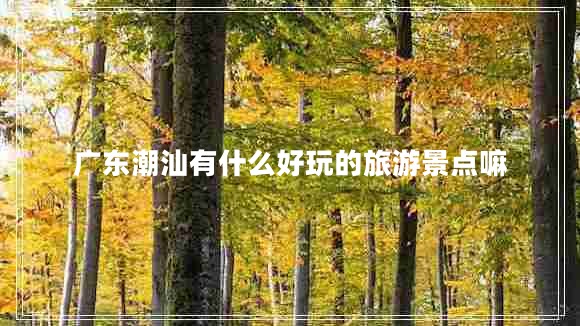 廣東潮汕有什么好玩的旅游景點(diǎn)嘛